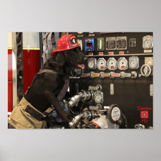 Poster Service d'incendie canin