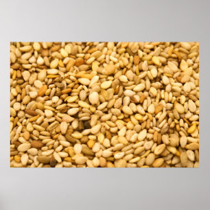 Poster Sesame Seeds