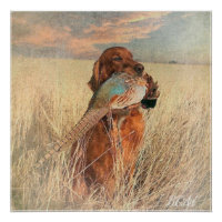 Setter irlandais avec faisan