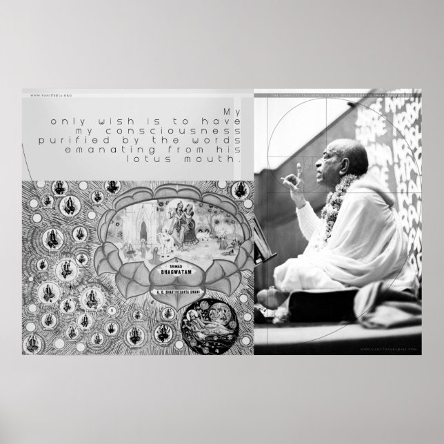 Poster Seul souhait (Devant)