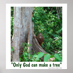Poster Seulement Dieu peut faire un arbre et une faune