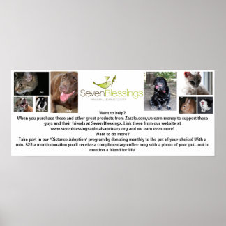 Poster sevenblessings.org