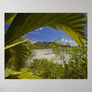 Poster Seychelles, île Curieuse, baie Laraie