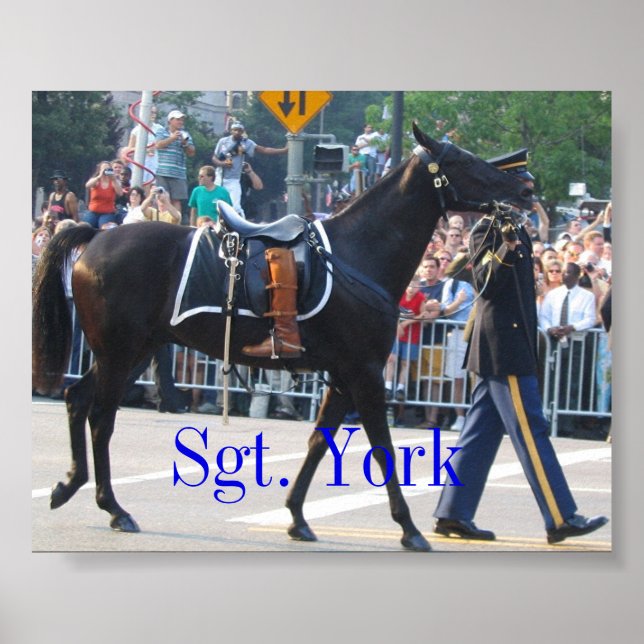 Poster Sgt York Le Cheval Sans Riderless (Devant)