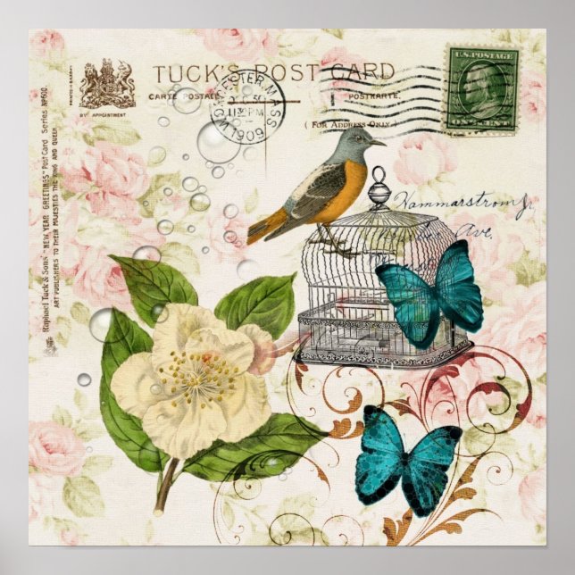 Poster shabby elegance camellia papillon d'oiseau françai (Devant)