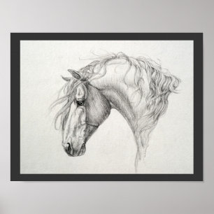 Poster Shadowfax