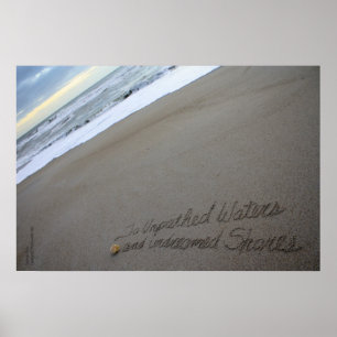 Poster Shakespeare Unpathed Waters
