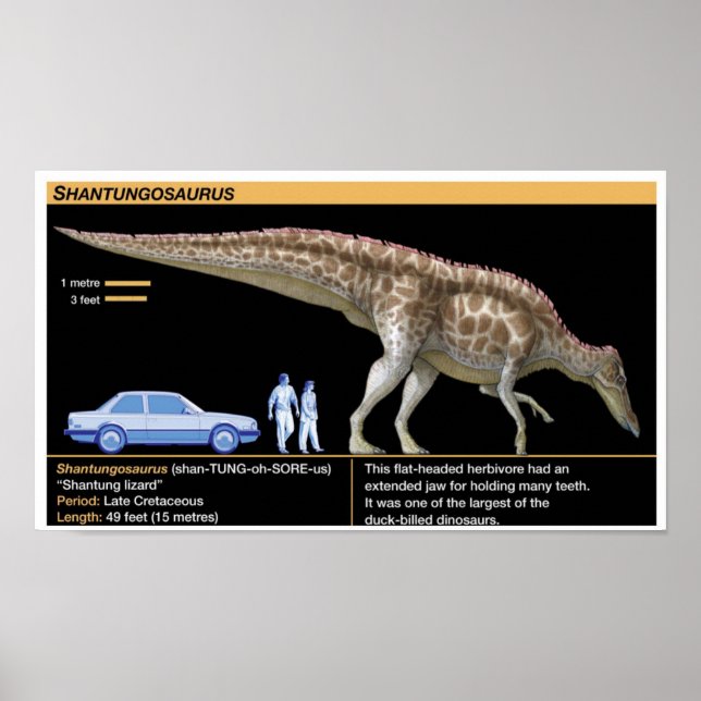 Poster Shantungosaurus - Biology Jurassic (Devant)