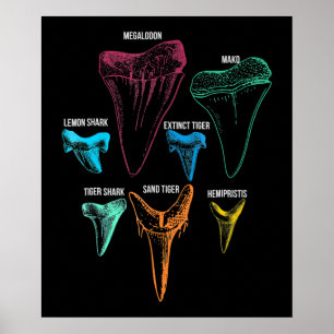 Poster Shark Tooth Hunting - Crazy Shark Gifts