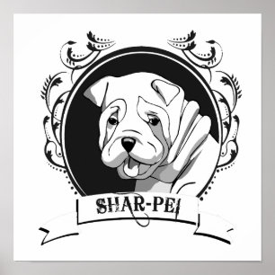 POSTER SHARPEI (2)
