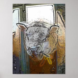 POSTER SHEEP
