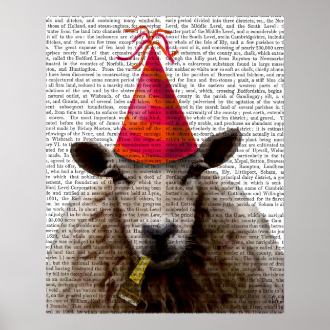 Poster Sheep de la fête (Devant)