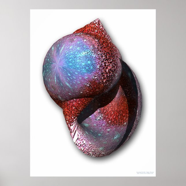 Poster Shell (Devant)