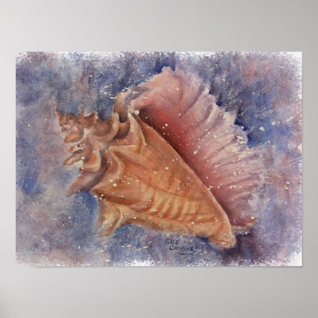 Poster Shell de Conch Beach exceptionnel (Devant)