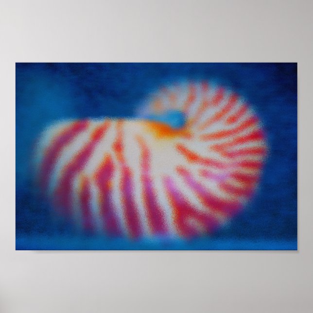 Poster Shell maritime (Devant)