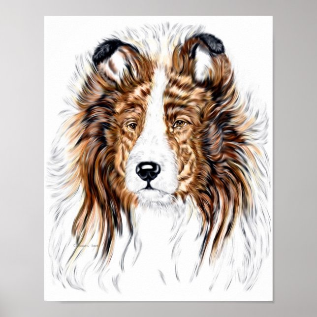 Poster Shelter Shetland Sheepdog Bust (Devant)