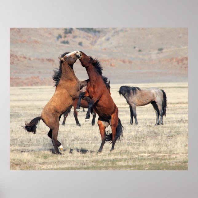 Poster Shenanigans (Devant)