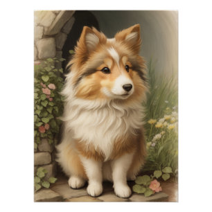 Poster Shetland Sheepdog