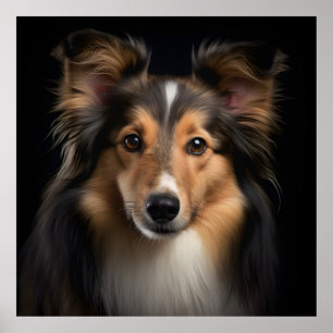 Poster Shetland Sheepdog