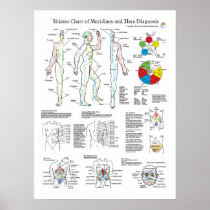 Poster Shiatsu Acupuncture Méridiens et Hara Diagnostics