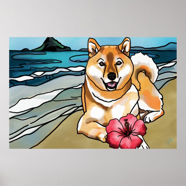 Poster Shiba Inu au Casquette de Chinaman, Hawaii (Devant)