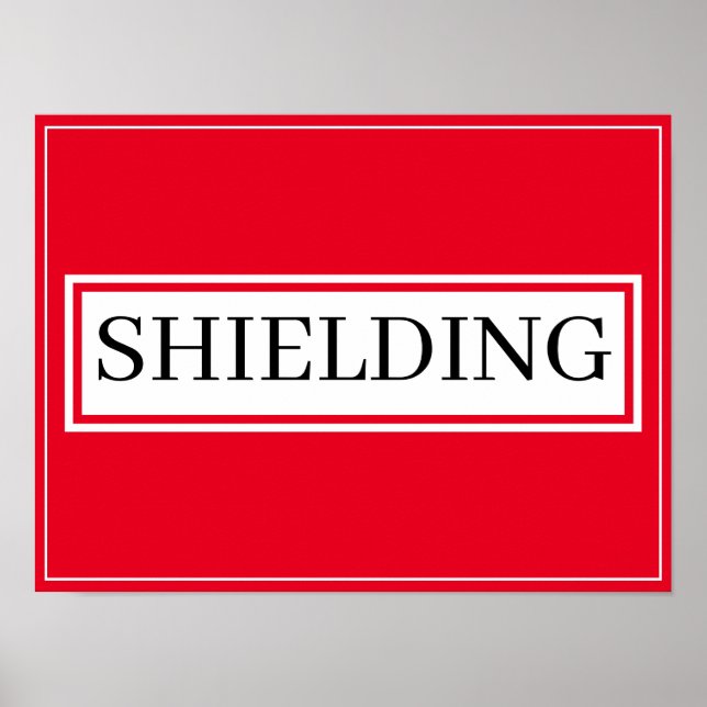 Poster - SHIELDING (Vorne)