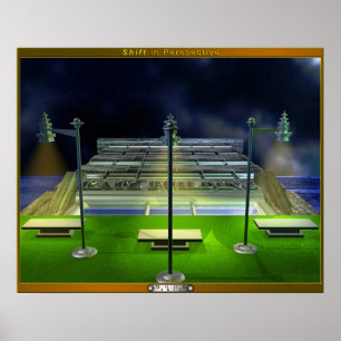 Poster Shift in Perspective