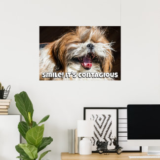 Poster Shih tzu bâillant sourire rire texte personnaliser