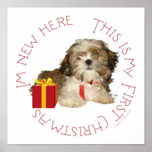 Poster Shih Tzu chiot premier Noël