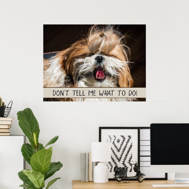 Poster Shih tzu langue drôle Ne me dites pas quoi faire (Bureau à domicile)