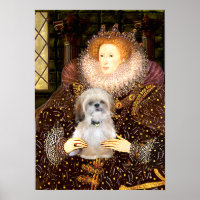 Shih Tzu (P) - Reine