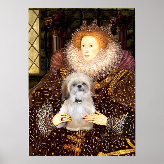 Poster Shih Tzu (P) - Reine (Devant)