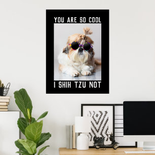 Poster Shih Tzu Pas amusant mignon chien cool texte perso