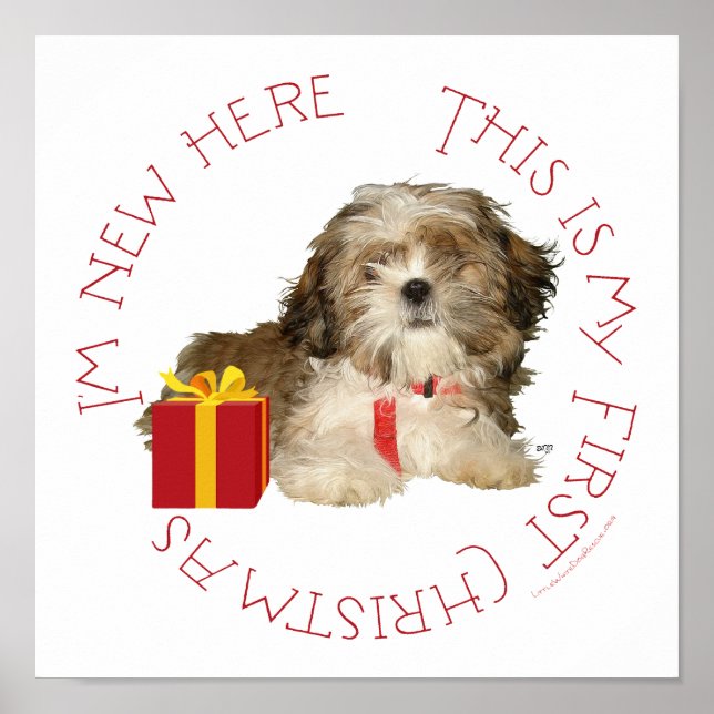 Poster Shih Tzu Puppy Premier Noël (Devant)