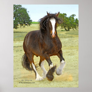 Poster Shire galopant