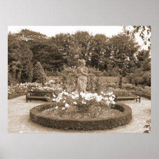 Poster Shy Girl aux Rose