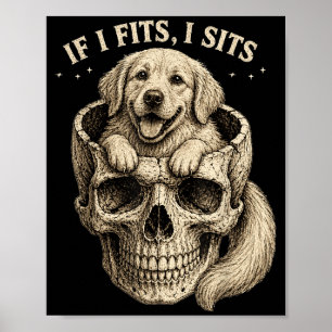 Poster Si ça rentre ça s'assoit Crâne de Golden Retriever
