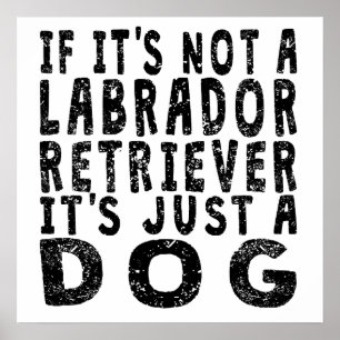 Poster Si ce n'est pas labrador retriever