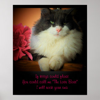 Poster Si les chats pouvaient flotter