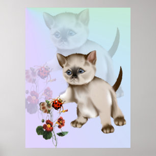 Poster Siamese Kitten VS Ladybug