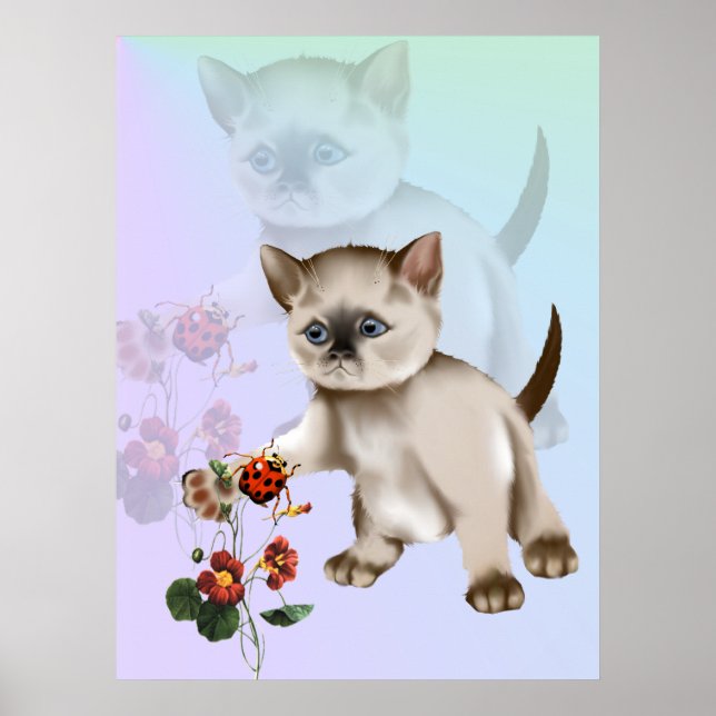 Poster Siamese Kitten VS Ladybug (Devant)