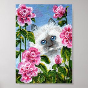 Poster Siamese Ragdoll Chat Rose Roses Créationarts