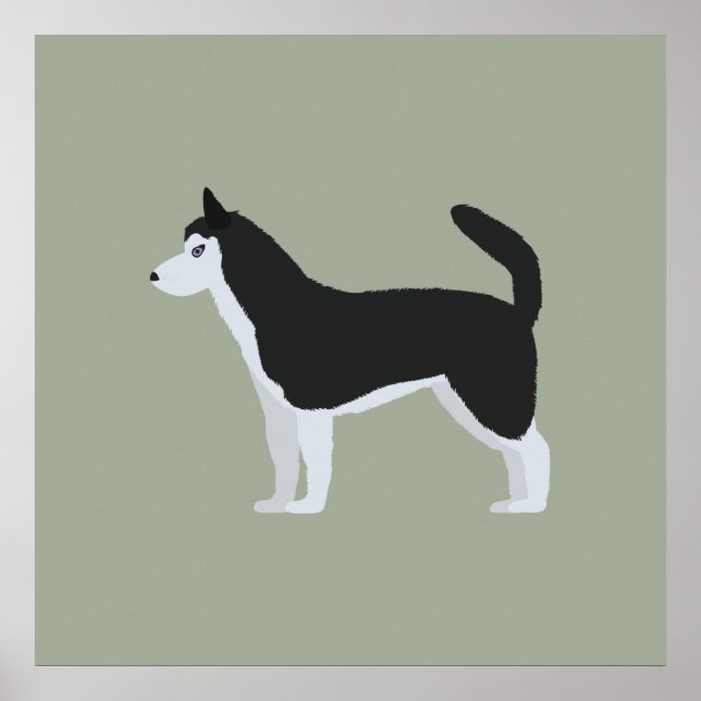 Poster Sibérien Husky (Devant)