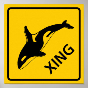 Poster Signe de route de croisement de baleine