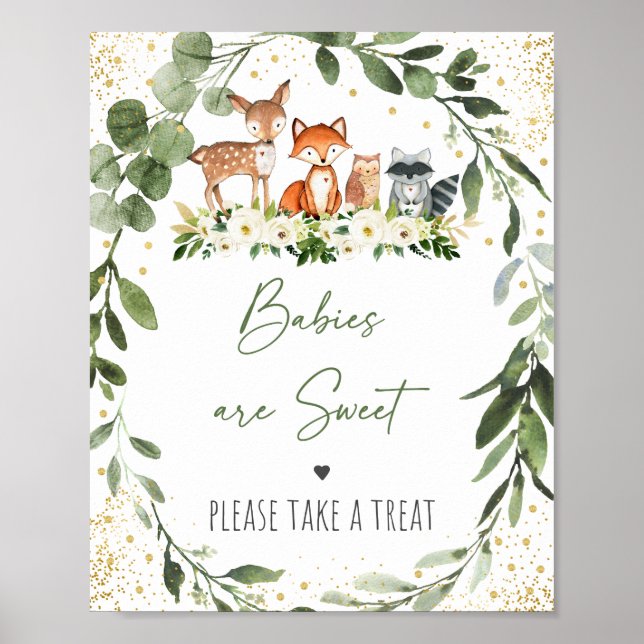 Poster SIGNE DE TRAITEMENT DU Baby shower VERDOYANT DES P (Devant)