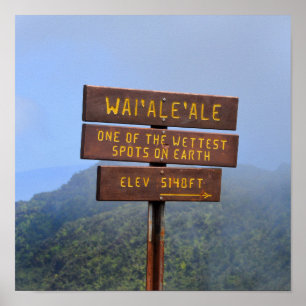 Poster Signe du mont Waialeale, Kauai, Hawaii