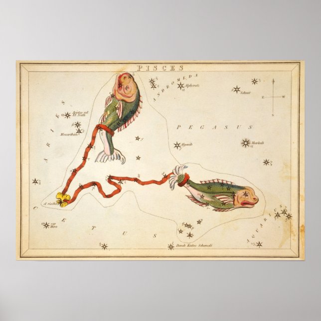 Poster "Signe zodiaque : Poissons" imprimé/affiche (Devant)