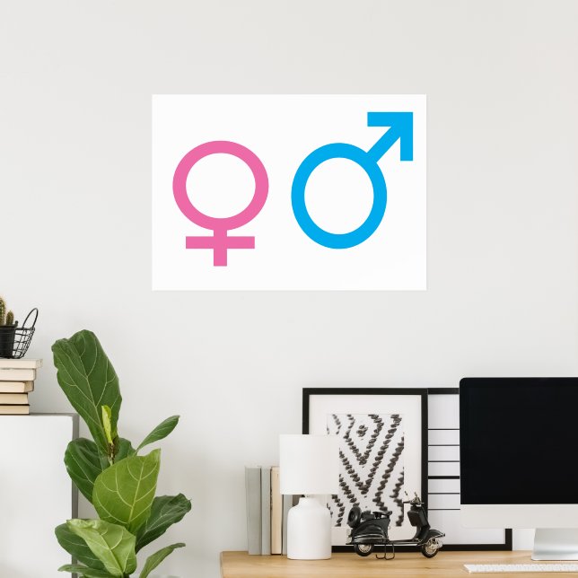 Poster Signes masculins et féminins (Bureau à domicile)