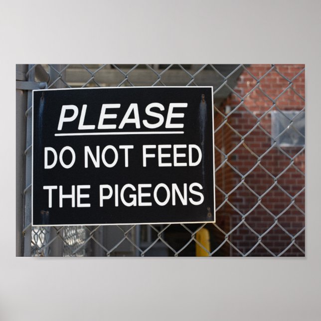 Poster S'il vous plaît ne nourrissez pas les pigeons New  (Devant)
