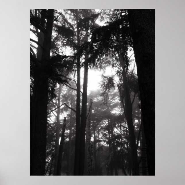 Poster - Silence Argent (Devant)